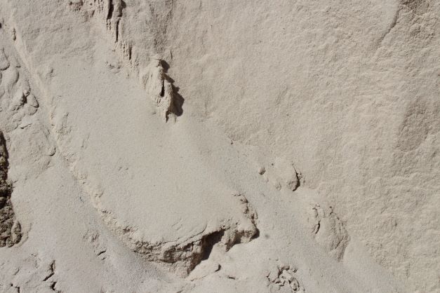 Fine washed sand from the Blue Gum Garden Centre range